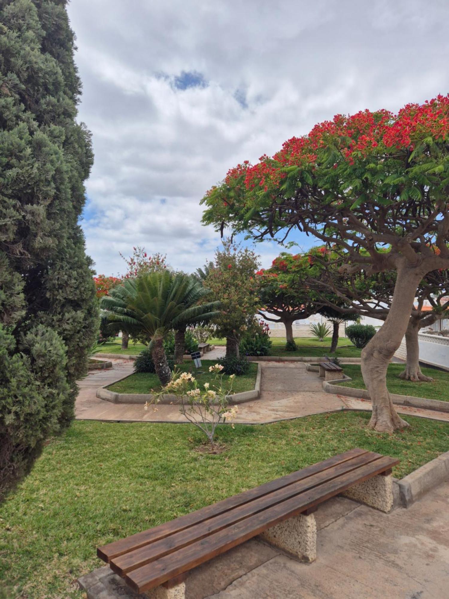 Bungalow Luna Privada Costa Del Silencio Kültér fotó
